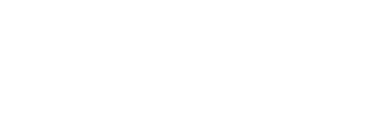 Adam Presley Photography logo
